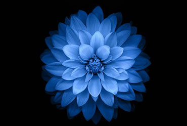 為什么要做手機(jī)網(wǎng)站?